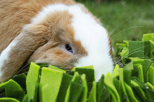 Snuffle Forage Mat for Small Animals