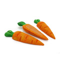 Boredom Breaker Treat 'n' Gnaw Carrots