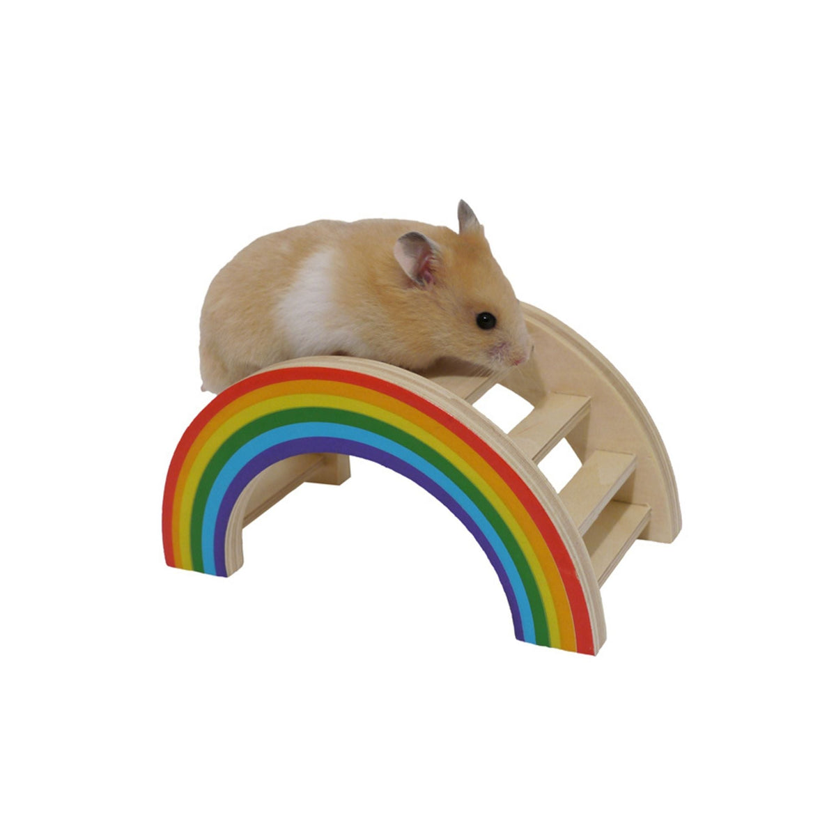 Rainbow Play Bridge