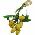 Critters Choice Acorn Nibbler