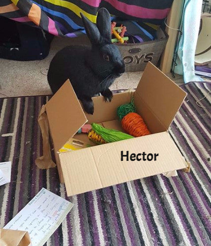 Jumbo Play Veg